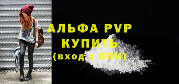 PSILOCYBIN Козловка