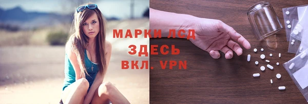 PSILOCYBIN Козловка