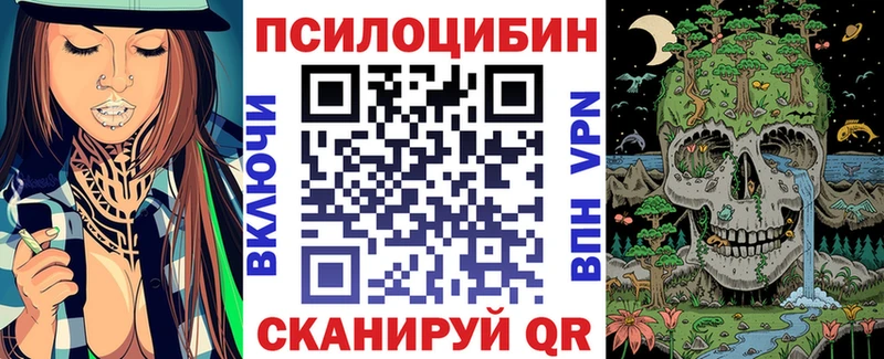 Галлюциногенные грибы GOLDEN TEACHER  Купить где  Ельня 